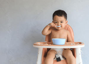 Top 5 Earth’s Best Baby Food | Buying Guide