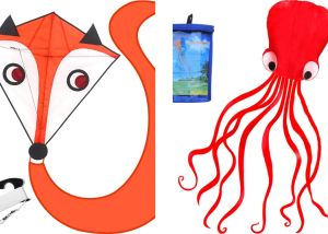 “Fly High! Check Out The 5 Best Kites For Kids!”